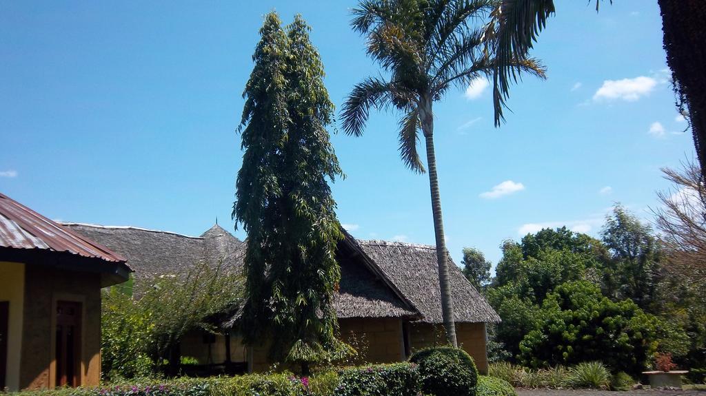 Kilimanjaro Eco Lodge Usa River Exterior foto