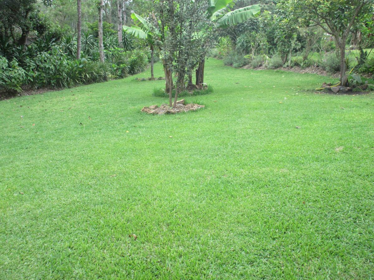Kilimanjaro Eco Lodge Usa River Exterior foto